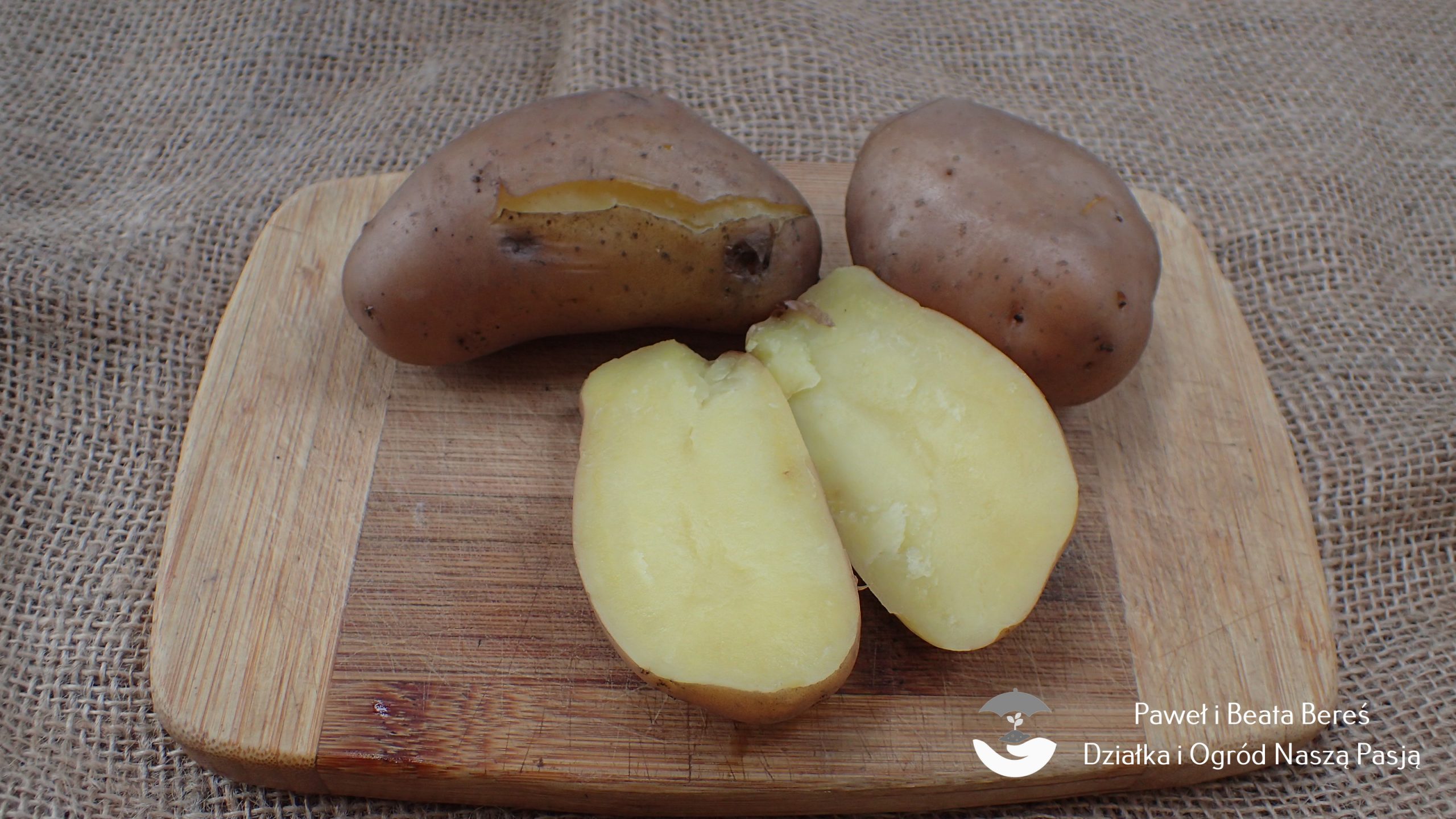 Typy kulinarne ziemniaków warto znać