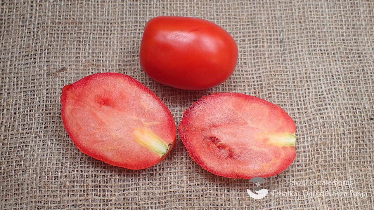 Pomidor odmiany Toboga – walcowaty owoc, czerwony kolor