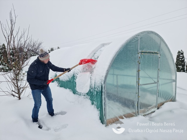 Odśnieżanie tuneli i szklarni zimą – warto to robić!