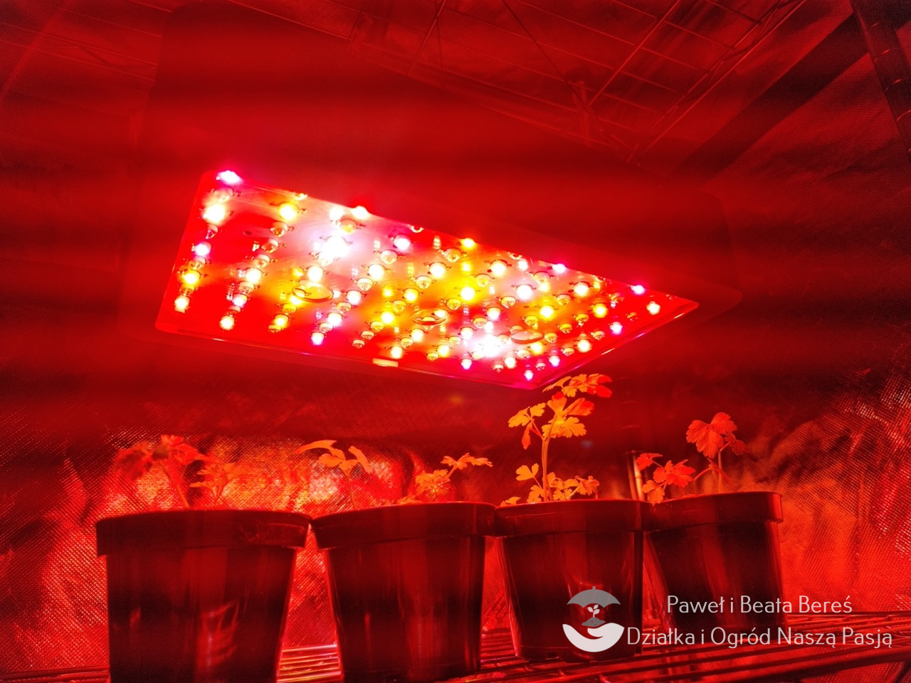 Lampa do uprawy roślin, LED